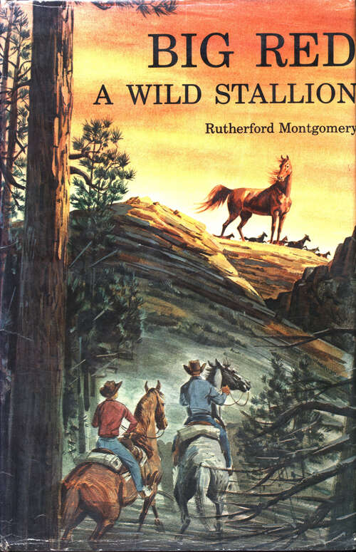 Book cover of Big Red, A Wild Stallion