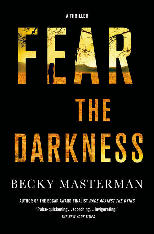 Book cover of Fear the Darkness: A Novel (Brigid Quinn Series #2)