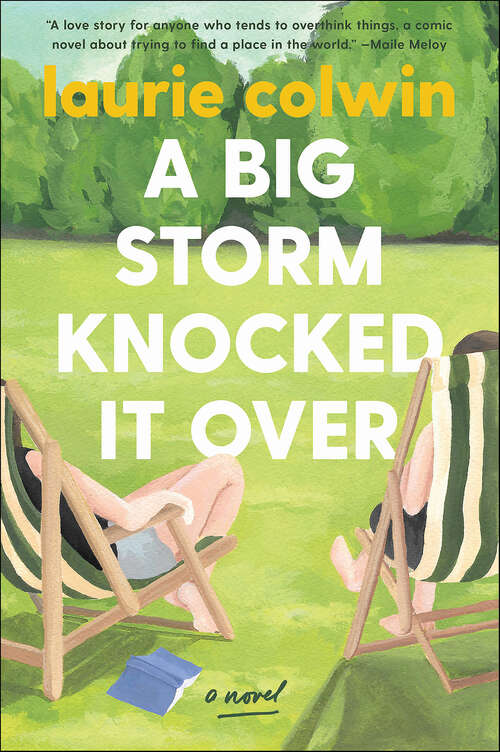 Book cover of A Big Storm Knocked It Over: A Novel