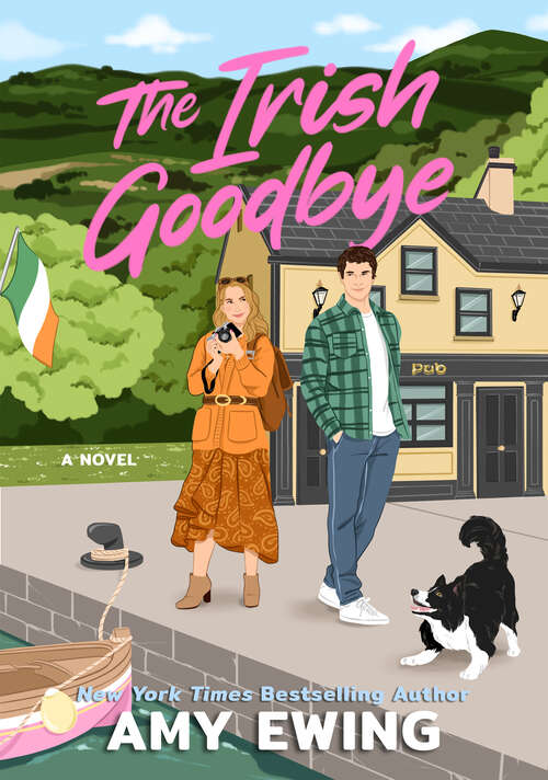 Book cover of The Irish Goodbye: A Novel