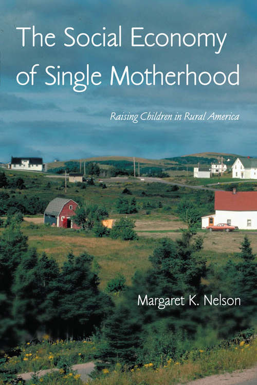 Book cover of The Social Economy of Single Motherhood: Raising Children in Rural America (Perspectives on Gender)