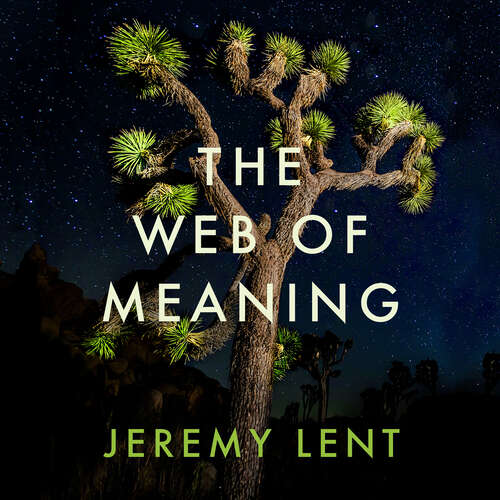 Book cover of The Web of Meaning: Integrating Science and Traditional Wisdom to Find Our Place in the Universe