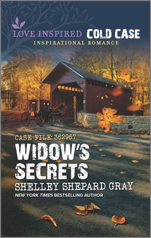 Book cover of Widow's Secrets (Original)