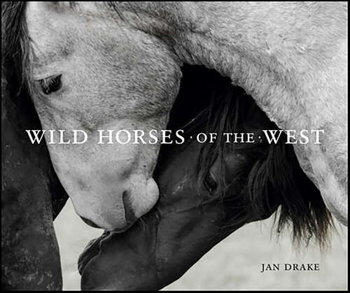 Book cover of Wild Horses of the West