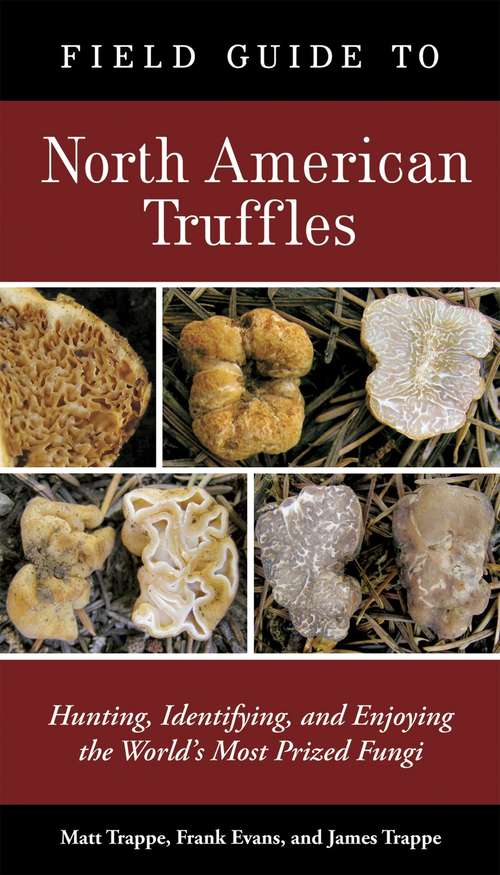 Book cover of Field Guide to North American Truffles: Hunting, Identifying, and Enjoying the World's Most Prized Fungi