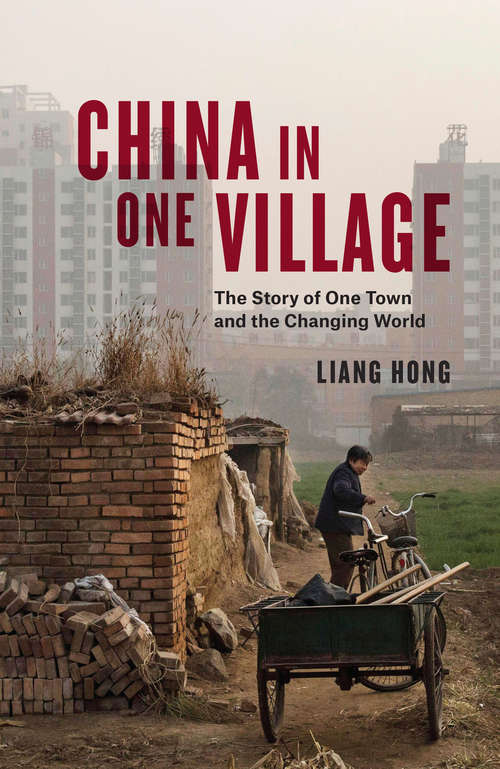 Book cover of China in One Village: The Story of One Town and the Changing World