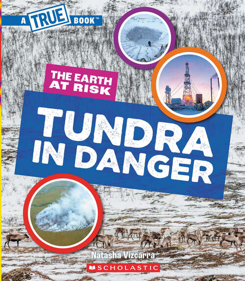 Book cover of Tundra in Danger (A True Book (Relaunch))