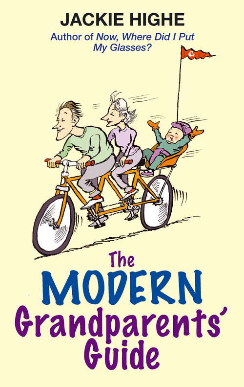 Book cover of The Modern Grandparents' Guide