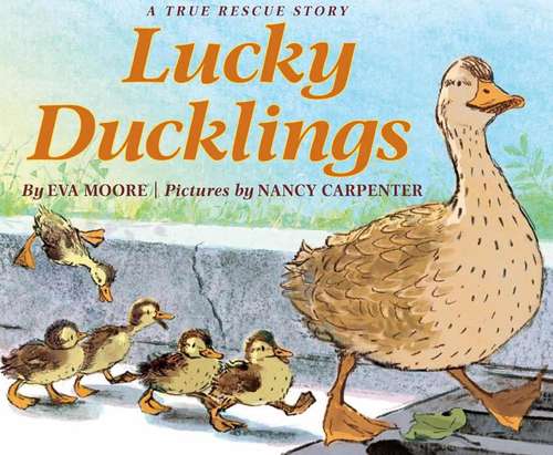 Book cover of Lucky Ducklings