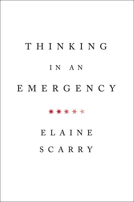 Book cover of Thinking in an Emergency (Norton Global Ethics Series)