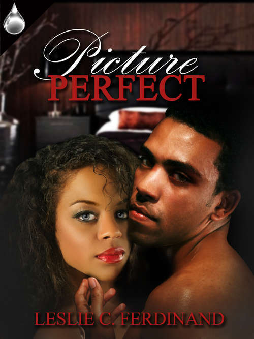 Book cover of Picture Perfect