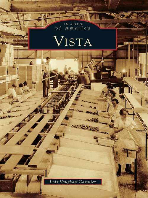 Book cover of Vista