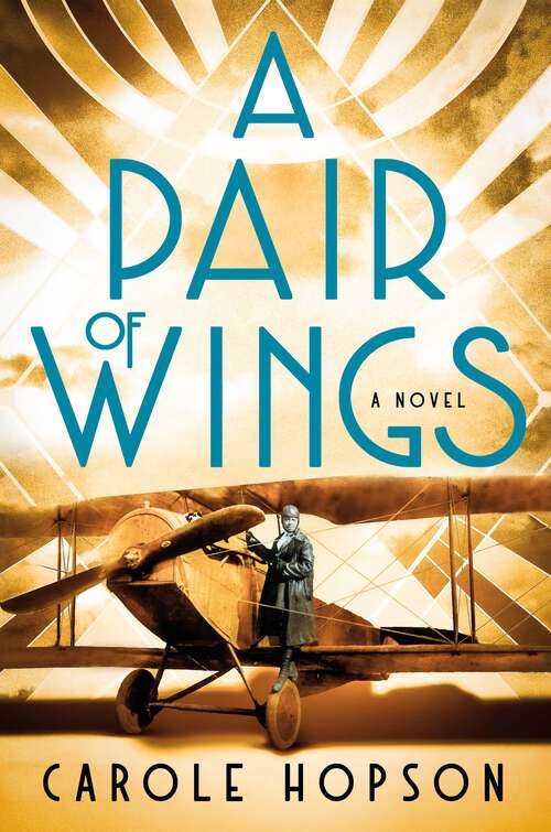 Book cover of A Pair of Wings: A Novel