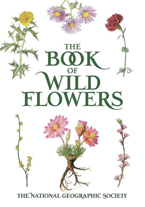 Book cover of The Book of Wild Flowers: Color Plates of 250 Wild Flowers and Grasses