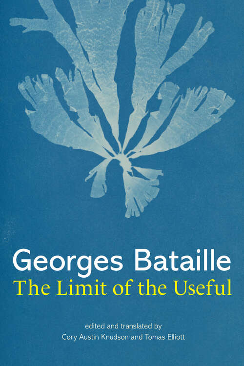 Book cover of The Limit of the Useful