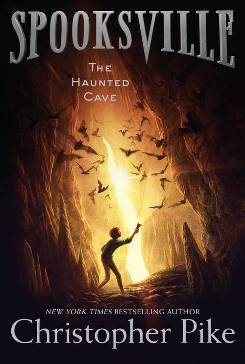 Book cover of The Haunted Cave