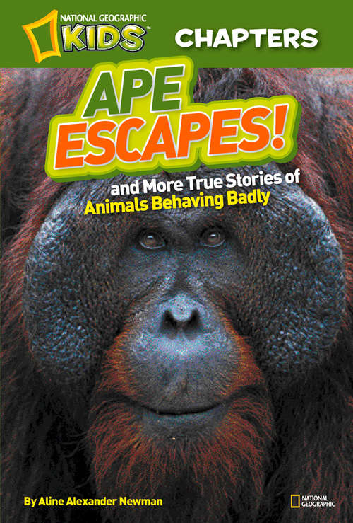 Book cover of Ape Escapes (National Geographic Kids Chapters)