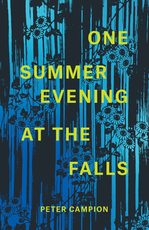 Book cover of One Summer Evening at the Falls (Phoenix Poets)