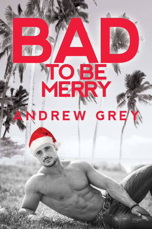 Book cover of Bad to Be Merry (Bad to Be Good #4)