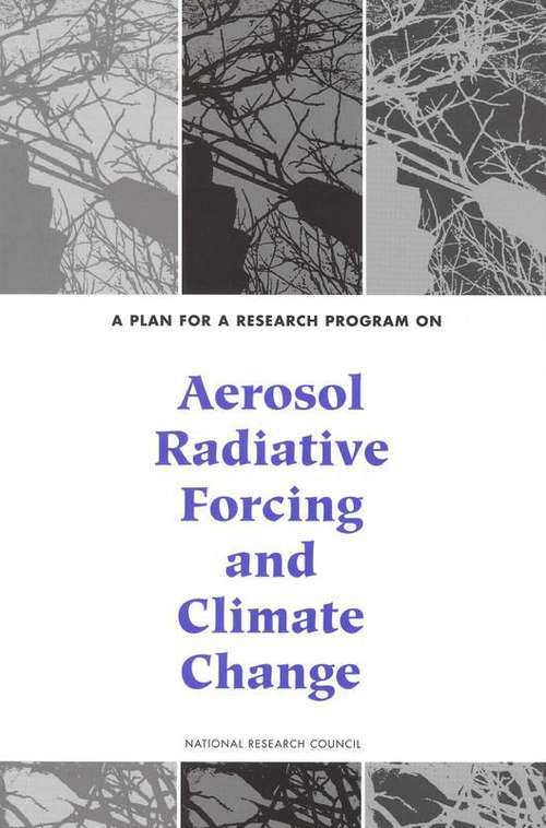 Book cover of A Plan for a Research Program on Aerosol Radiative Forcing and Climate Change