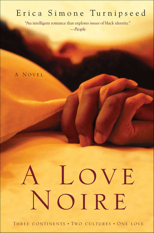 Book cover of A Love Noire: A Novel