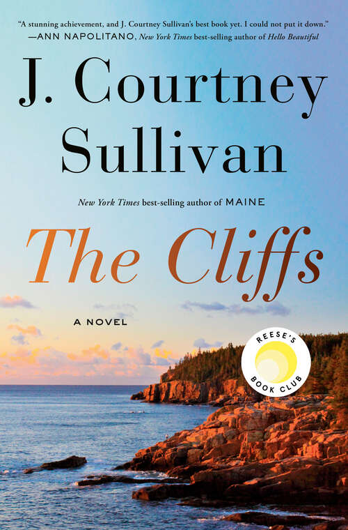 Book cover of The Cliffs: A novel
