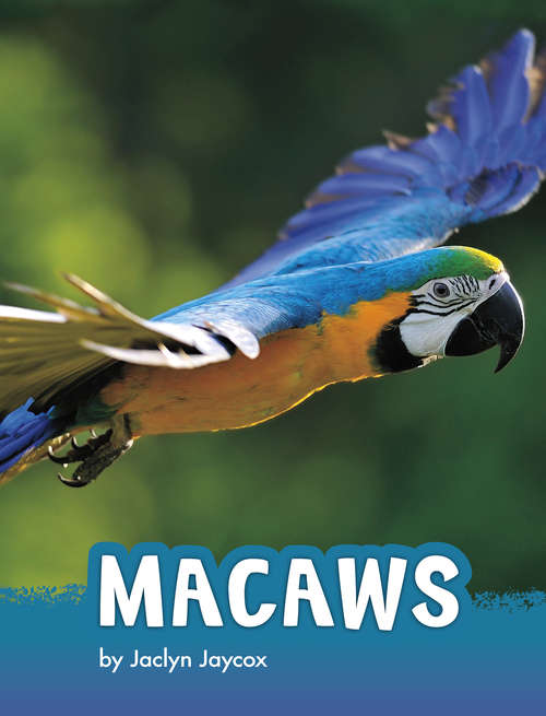 Book cover of Macaws (Animals)