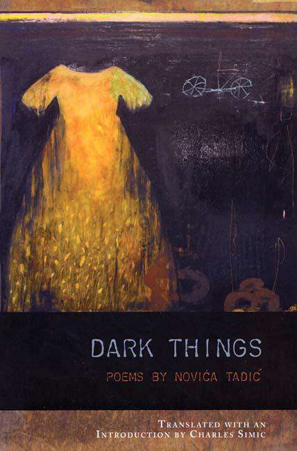 Book cover of Dark Things (Lannan Translations Selection Series)