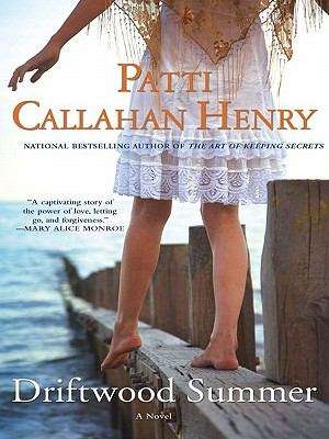 Book cover of Driftwood Summer (Bride Series)