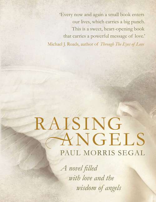 Book cover of Raising Angels: A Novel Filled with Love and the Wisdom of Angels