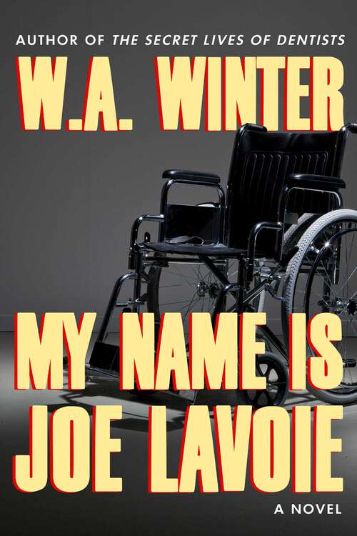 Book cover of My Name is Joe LaVoie