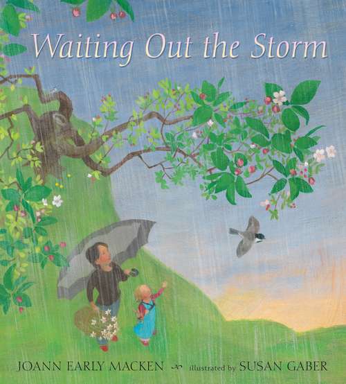 Book cover of Waiting Out the Storm