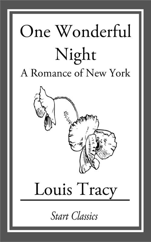 Book cover of One Wonderful Night: A Romance of New York