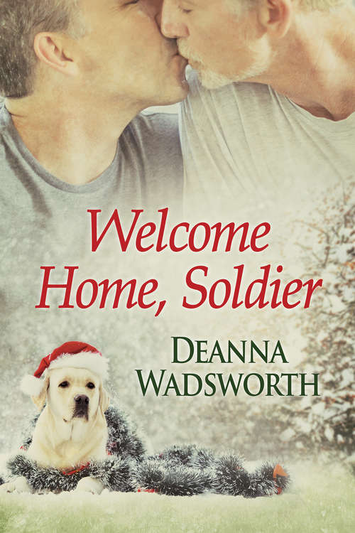 Book cover of Welcome Home, Soldier (2017 Advent Calendar - Stocking Stuffers)