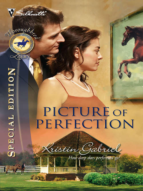 Book cover of Picture of Perfection
