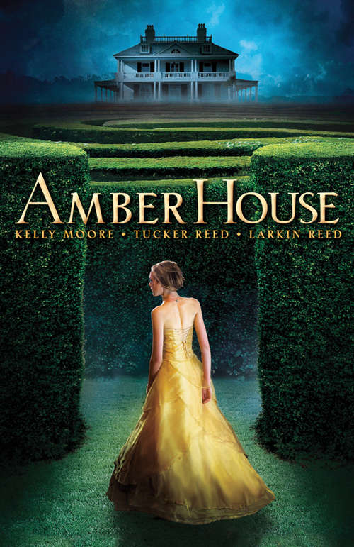 Book cover of Amber House