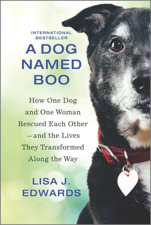 Book cover of A Dog Named Boo: How One Dog and One Woman Rescued Each Other—and the Lives They Transformed Along the Way (Reissue)