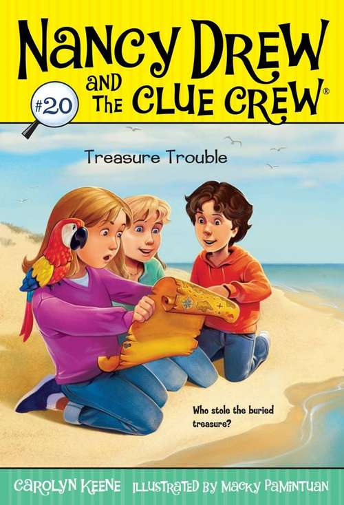 Book cover of Treasure Trouble (Nancy Drew and the Clue Crew  #20)