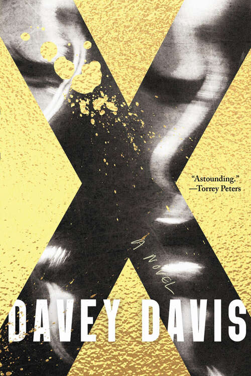 Book cover of X: A Novel