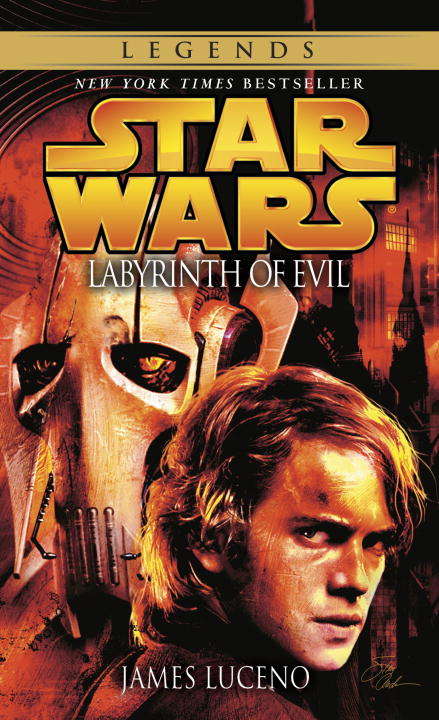 Book cover of Labyrinth of Evil: Labyrinth Of Evil - Revenge Of The Sith Dark Lord - The Rise Of Darth Vader (Star Wars #51)