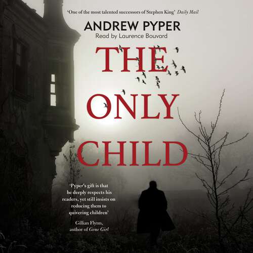 Book cover of The Only Child: The terrifying thriller that will blow your mind