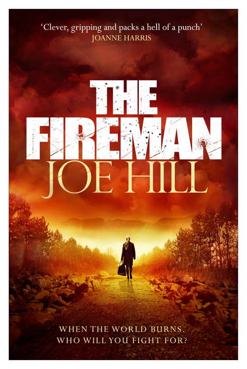 Book cover of The Fireman