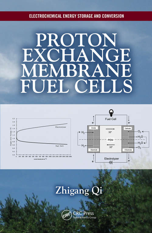 Book cover of Proton Exchange Membrane Fuel Cells (ISSN)