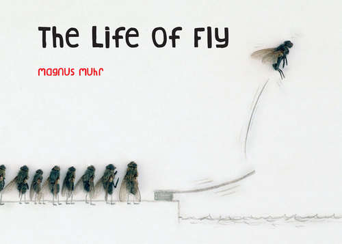 Book cover of Life of Fly