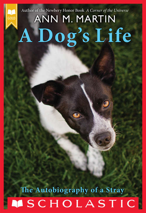Book cover of A Dog's Life: The Autobiography Of A Stray
