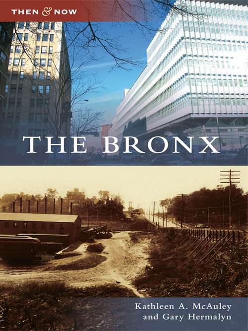 Book cover of Bronx, The