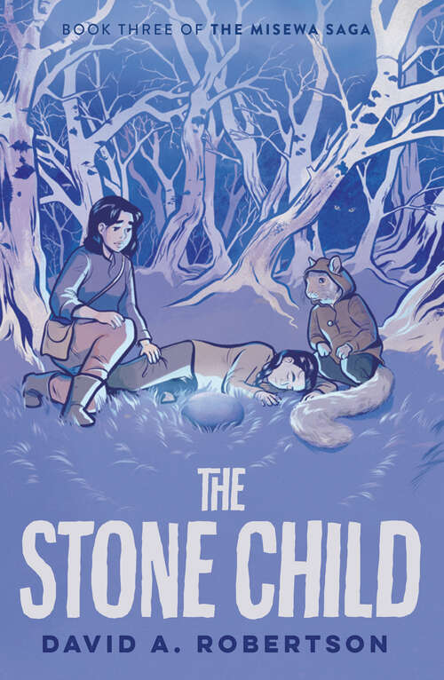 Book cover of The Stone Child: The Misewa Saga, Book Three (The Misewa Saga #3)
