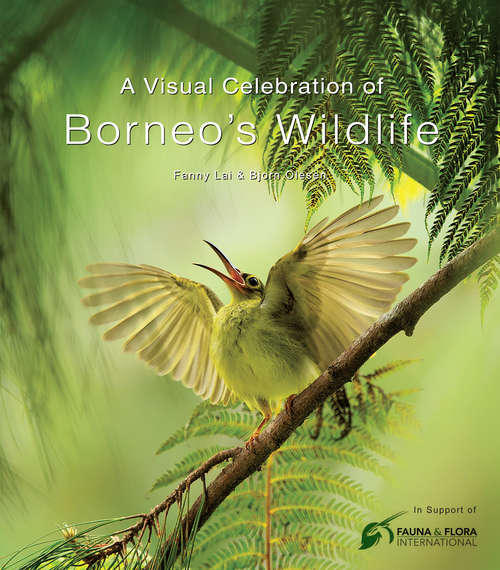 Book cover of A Visual Celebration of Borneo's Wildlife