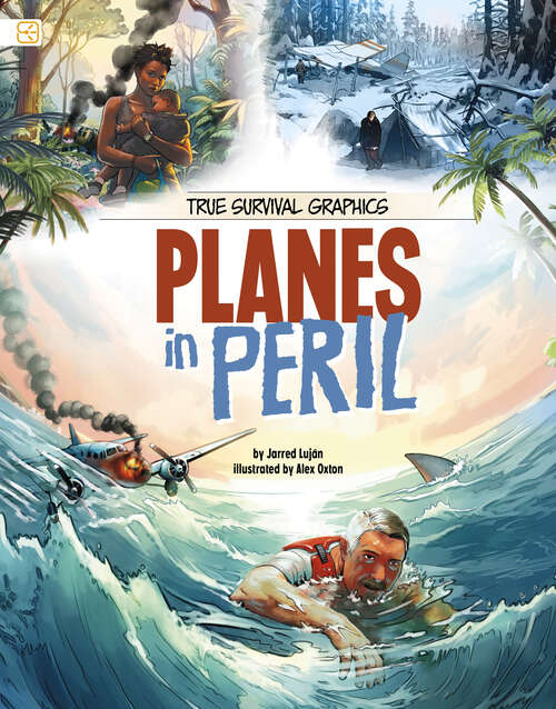 Book cover of Planes in Peril