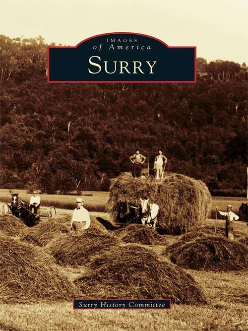 Book cover of Surry